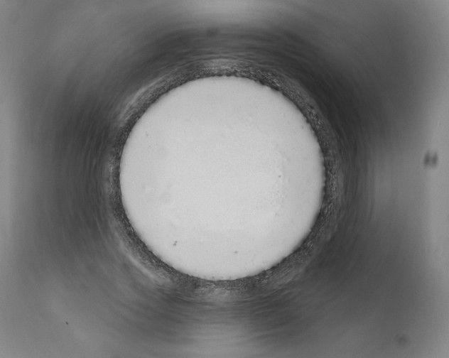 X0000110960733200907311105