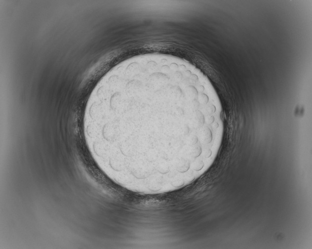 X0000110960734200907311105