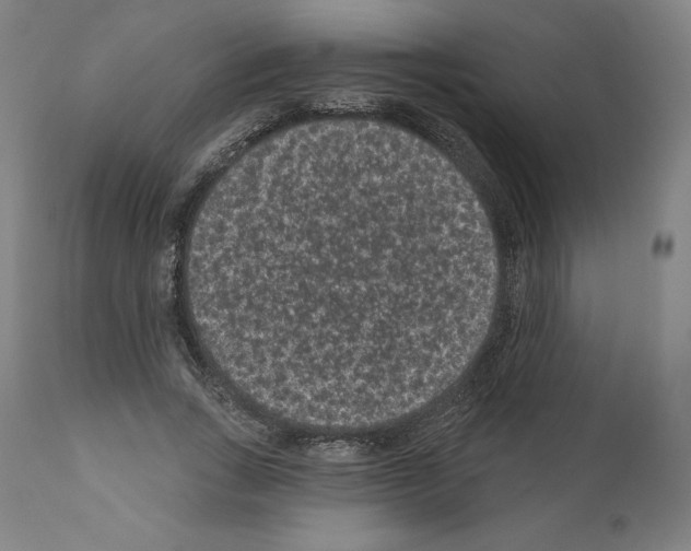 X0000110960735200907311106