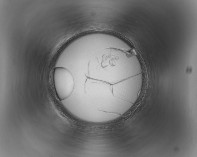 X0000110960736200907311106