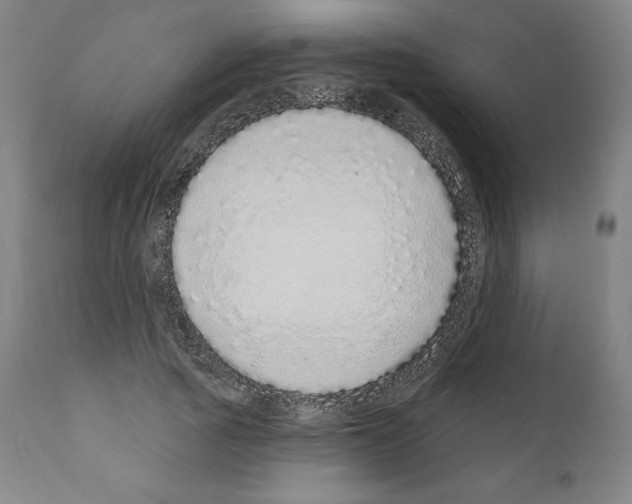 X0000110960737200907311106