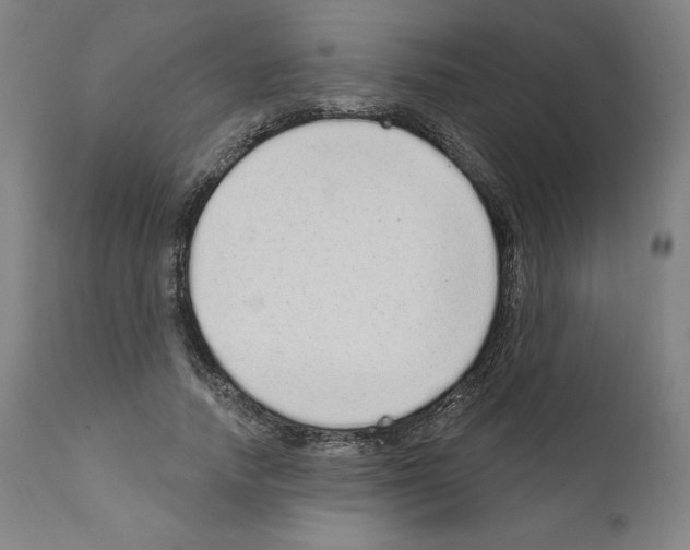 X0000110960738200907311106