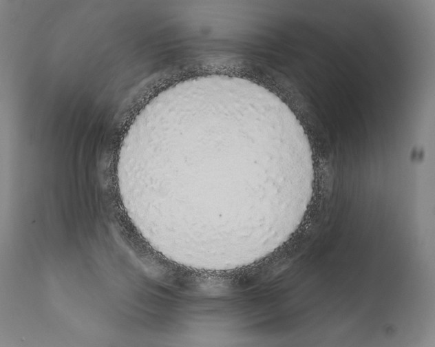 X0000110960741200907311106