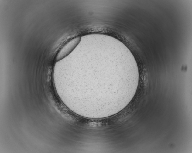 X0000110960744200907311106