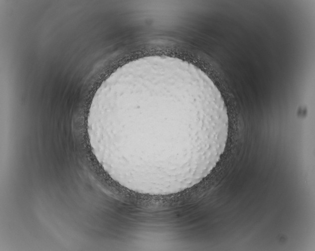 X0000110960745200907311106