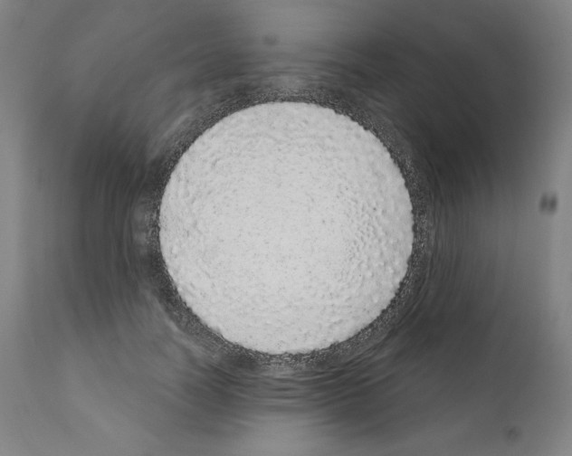 X0000110960746200907311106