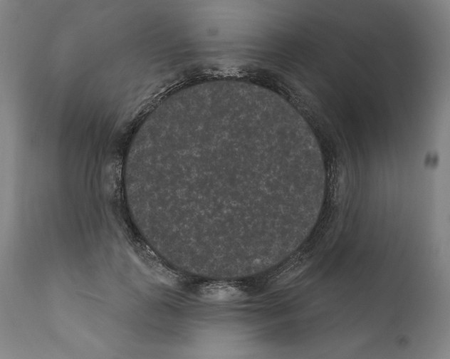 X0000110960747200907311106