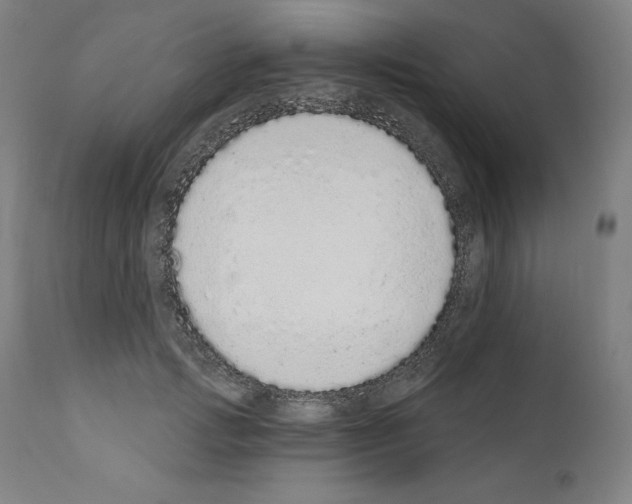 X0000110960749200907311106