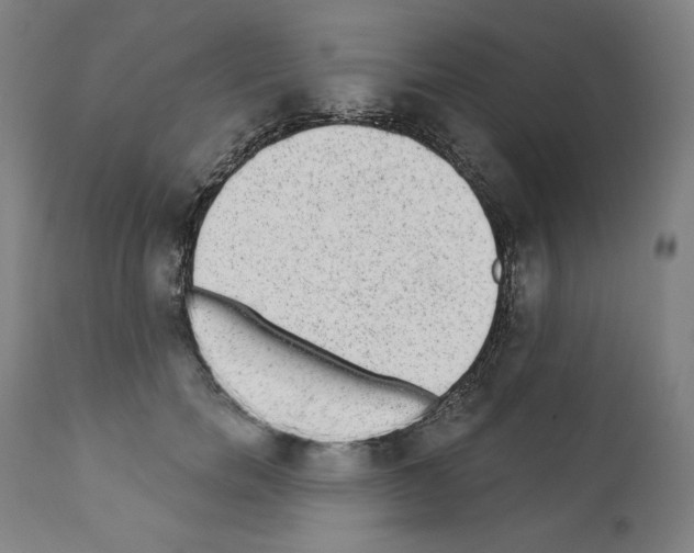 X0000110960750200907311106