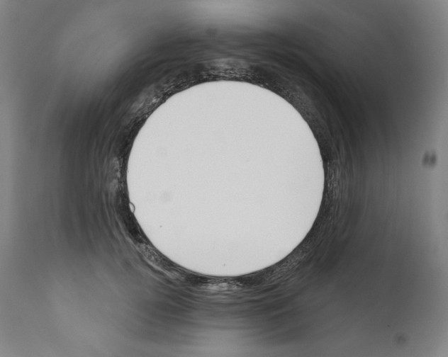 X0000110960752200907311106