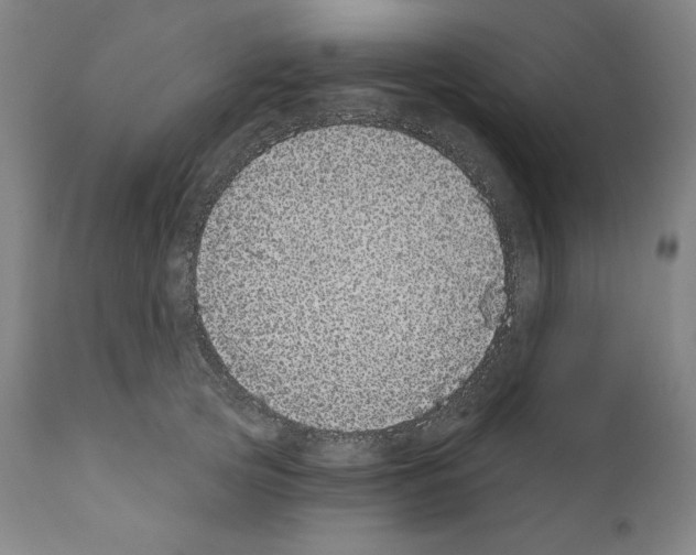 X0000110960753200907311106