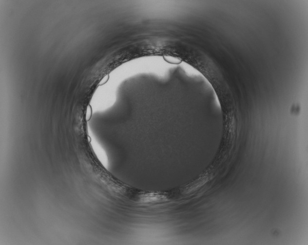 X0000110960754200907311106