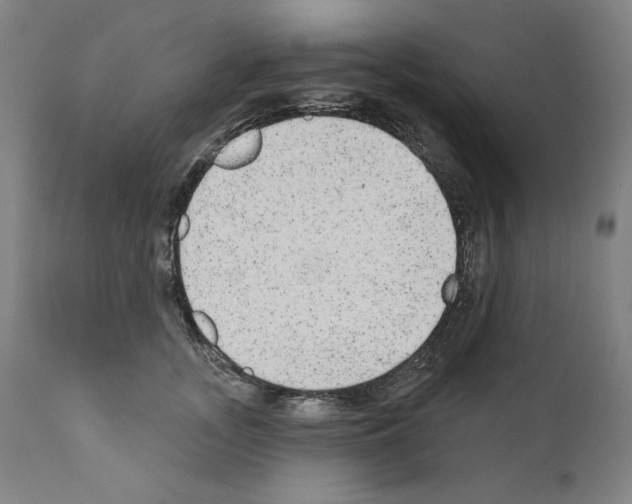X0000110960755200907311106