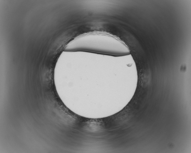 X0000110960756200907311106