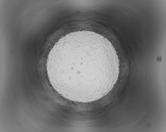 X0000110960757200907311106