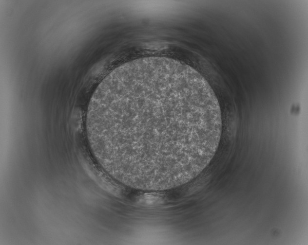 X0000110960758200907311106