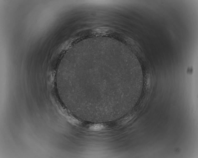 X0000110960759200907311106
