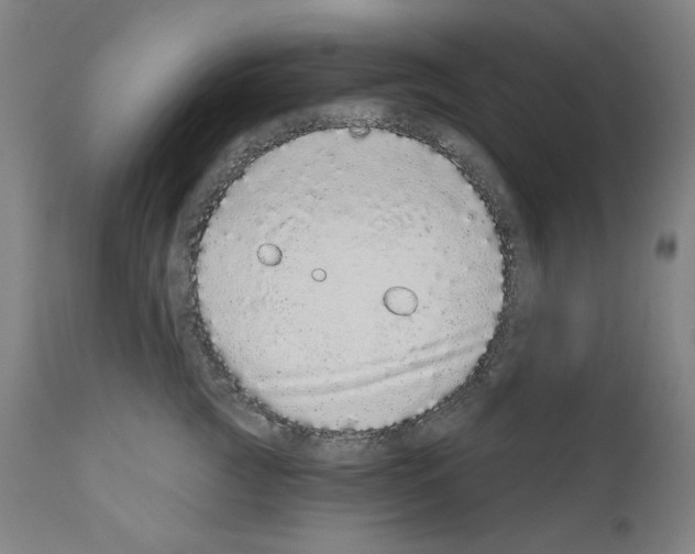 X0000110960761200907311106