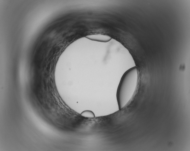 X0000110960764200907311106