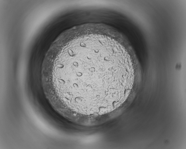 X0000110960765200907311106