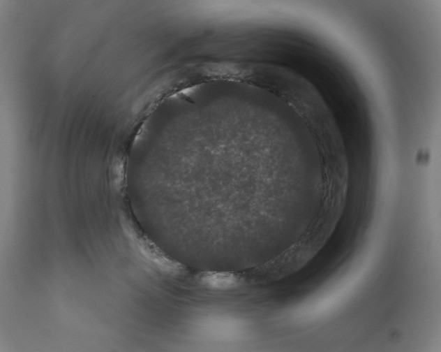 X0000110960767200907311106