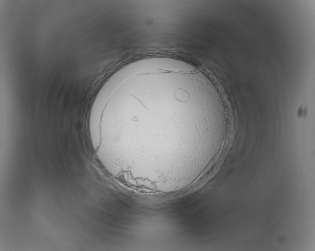 X0000110960768200907311106