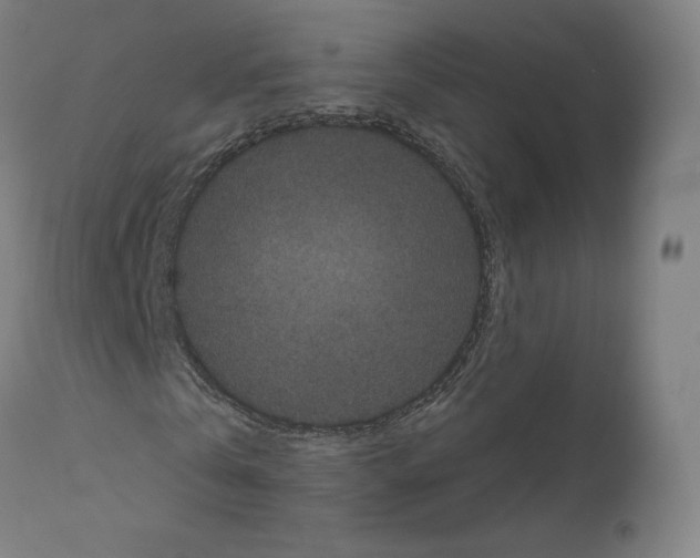 X0000110960769200907311105