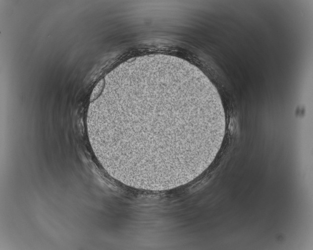 X0000110960771200907311105