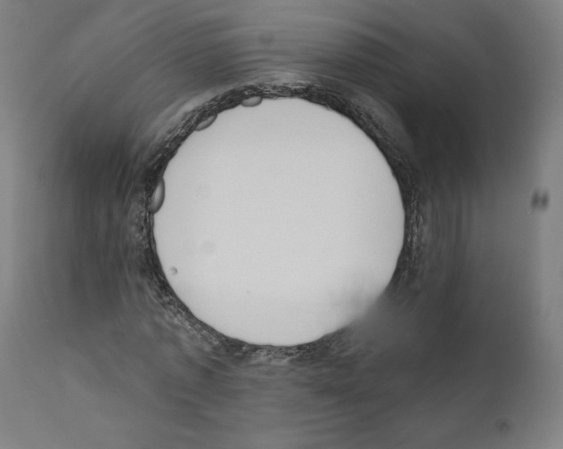 X0000110960773200907311105