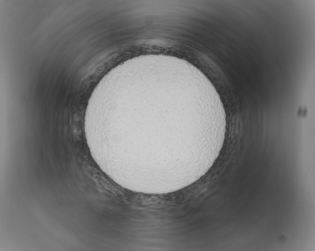 X0000110960774200907311105