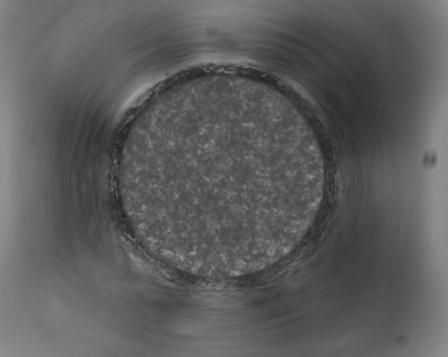 X0000110960775200907311105