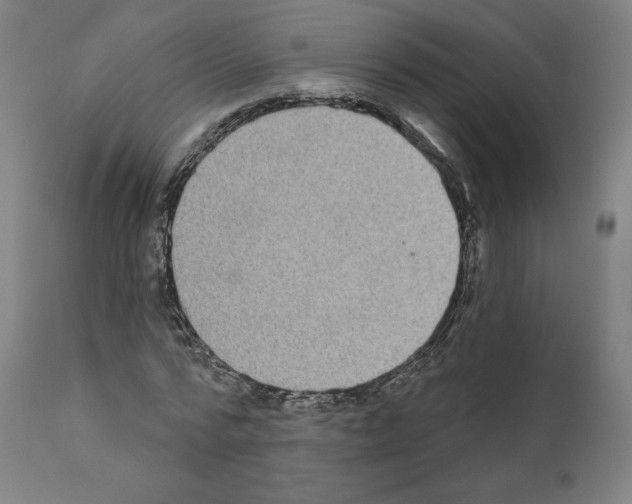 X0000110960776200907311105