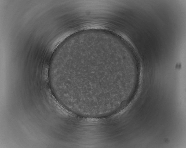 X0000110960777200907311105