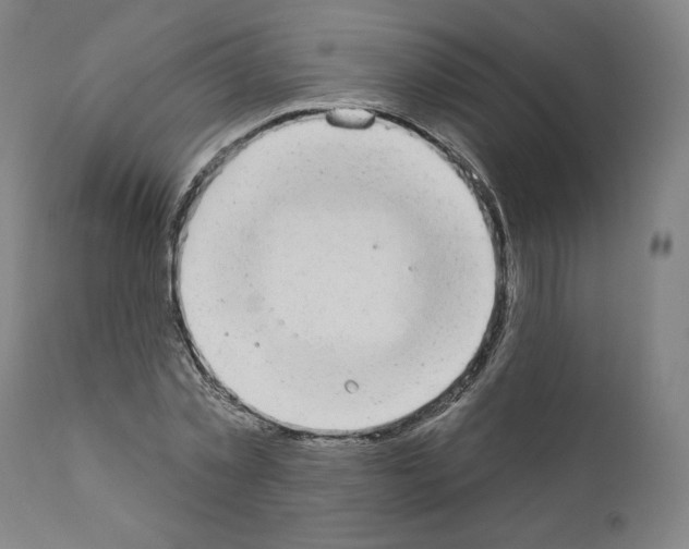 X0000110960781200907311105