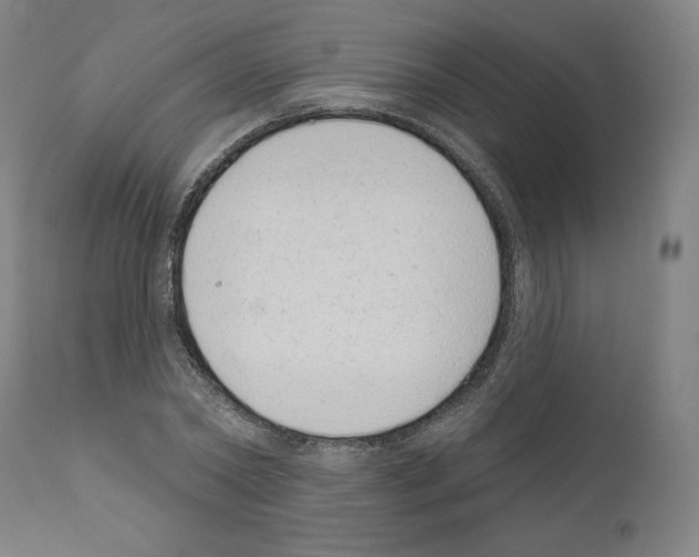 X0000110960782200907311105