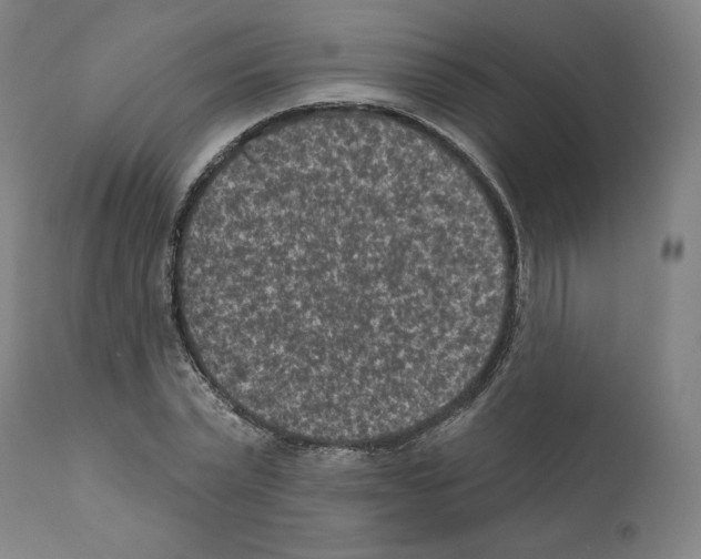 X0000110960783200907311105