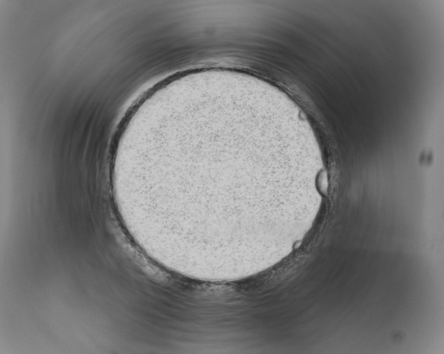 X0000110960784200907311105