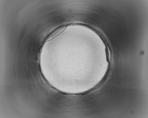 X0000110960785200907311105