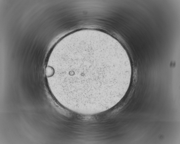 X0000110960787200907311105