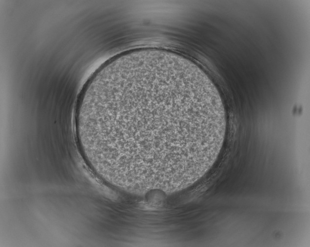 X0000110960788200907311105