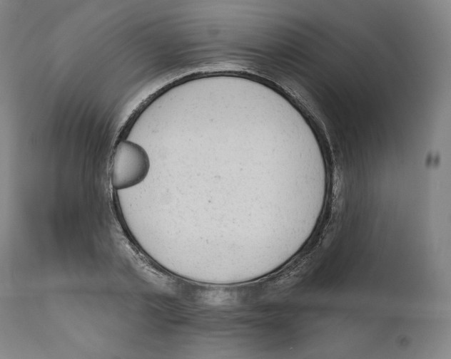 X0000110960789200907311105