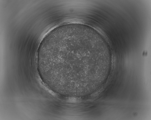 X0000110960790200907311105