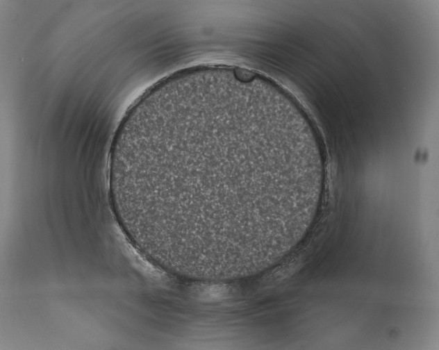 X0000110960791200907311105