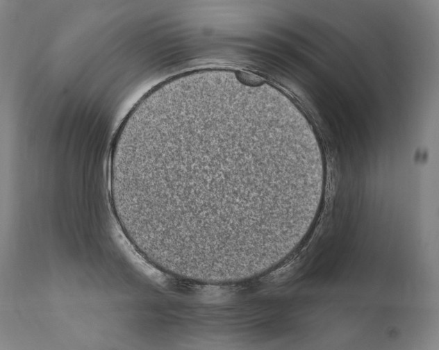 X0000110960796200907311105