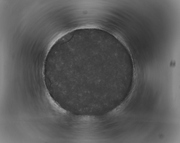 X0000110960797200907311105
