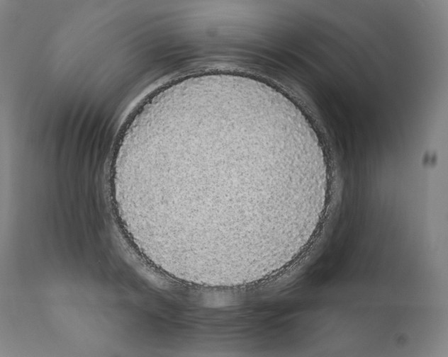 X0000110960798200907311105