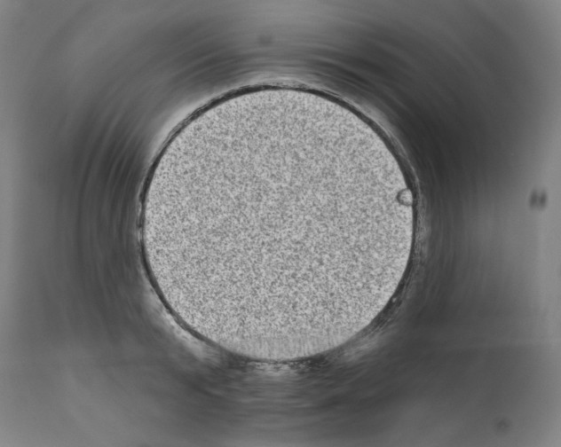 X0000110960799200907311105