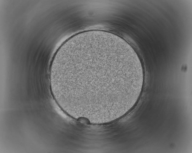 X0000110960800200907311105