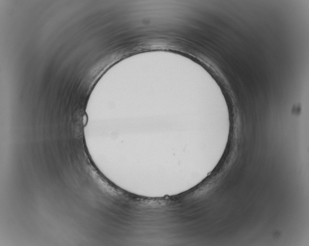 X0000110960801200907311105