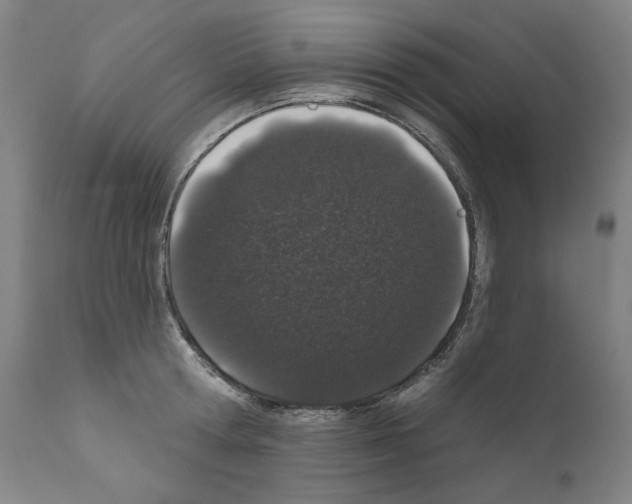 X0000110960802200907311105